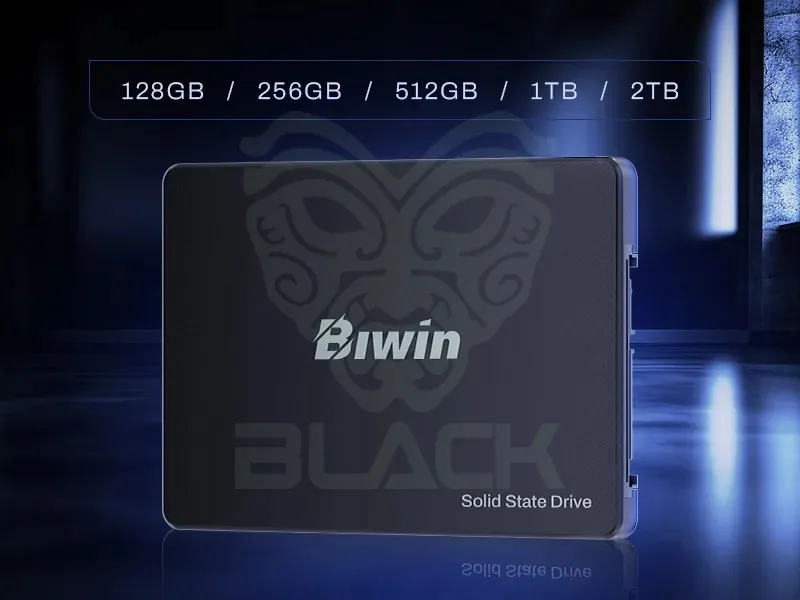 DISCO SSD BIWIN M100 512GB 2.5" SATA 3.0