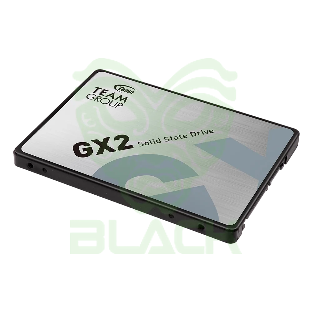 DISCO SOLIDO SSD TEAM 256GB GX2 530MB/S
