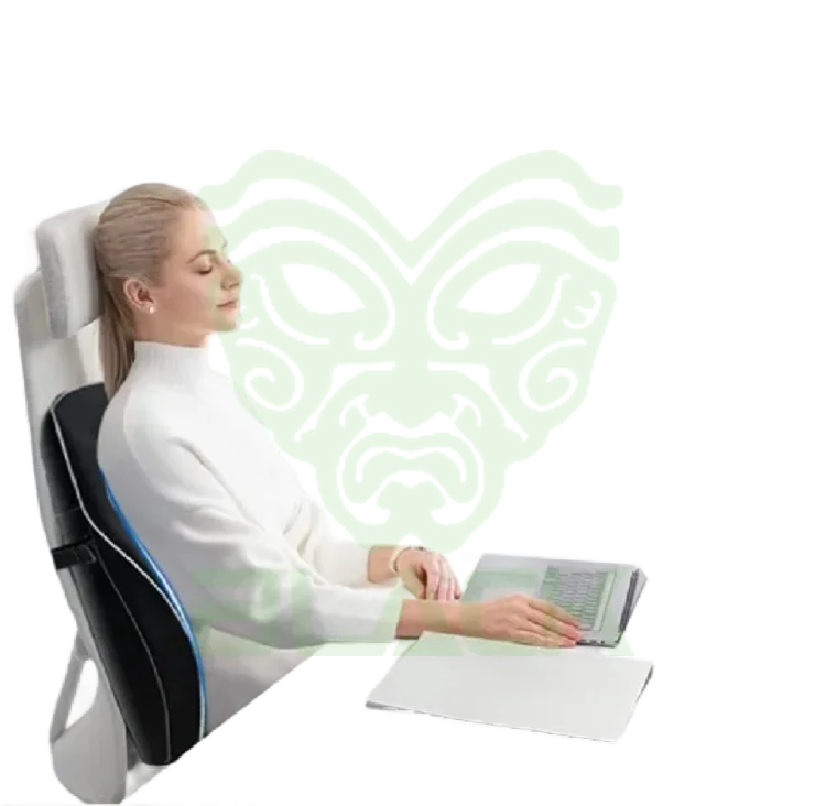ACCESORIOS INTELAID ALMOHADA LUMBAR ERGONOMICA