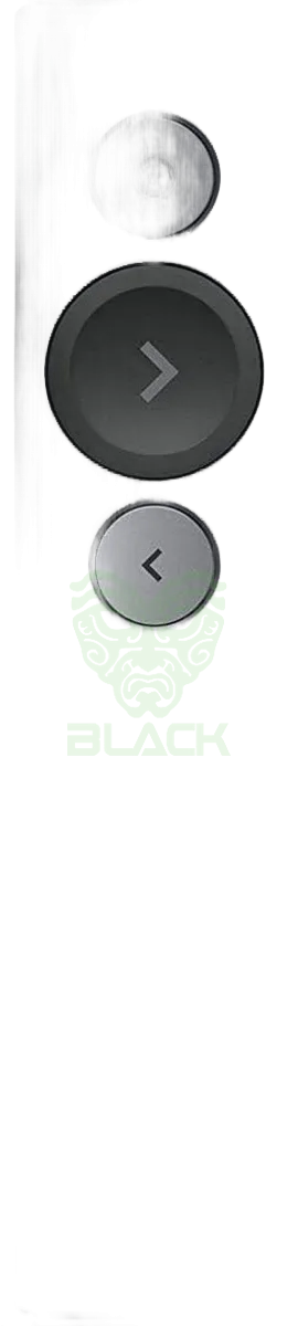 PUNTERO PRESENTADOR LOGITECH SPOTLIGHT 2 NEGRO