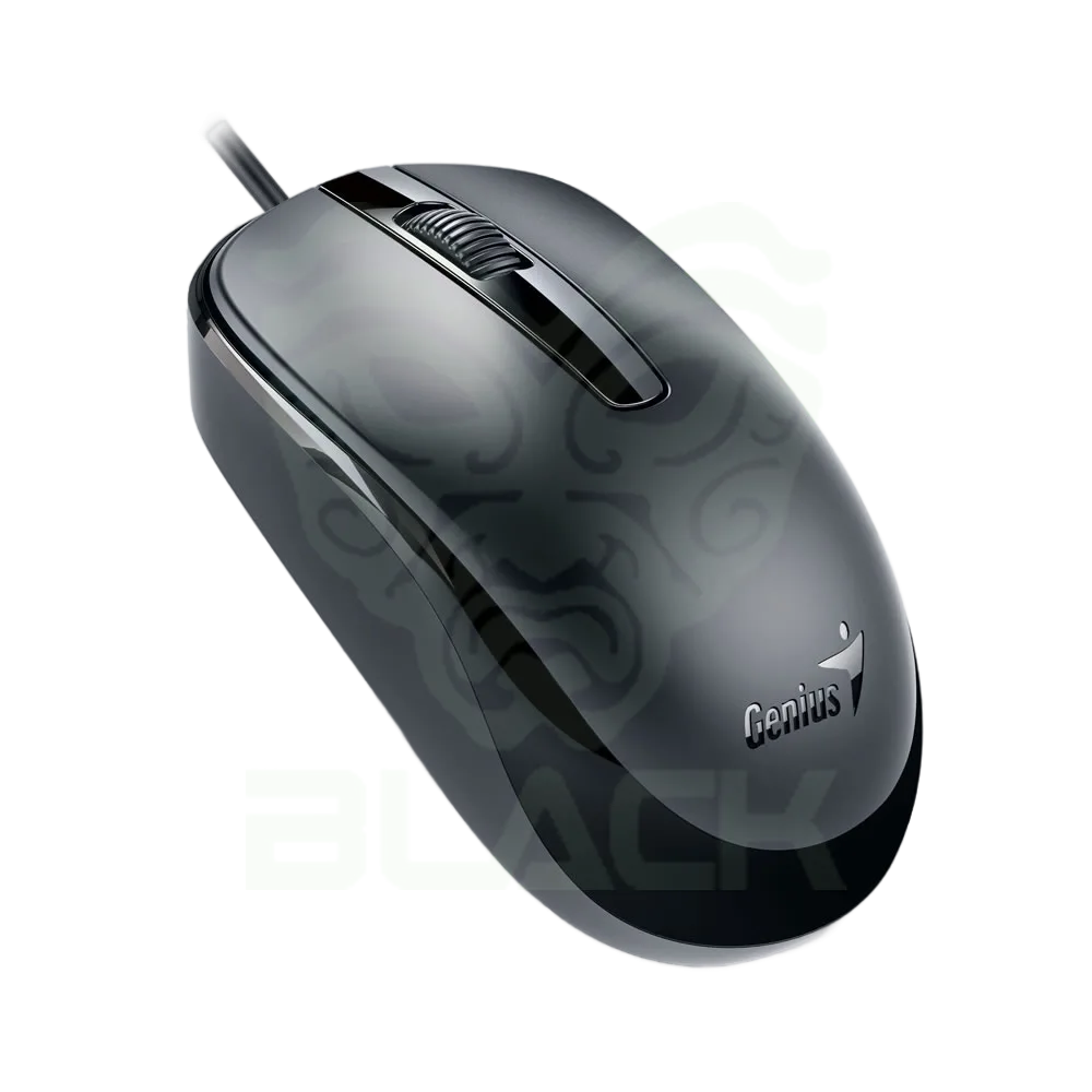 MOUSE GENIUS DX-120,USB-C,BLACK