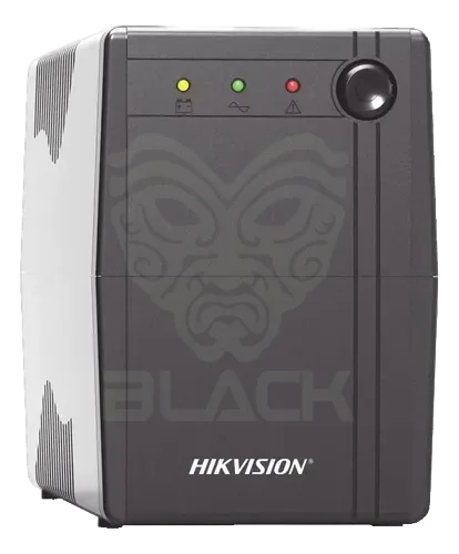 DS-UPS1000 UPS 1000VA/600W,220V BACKUP