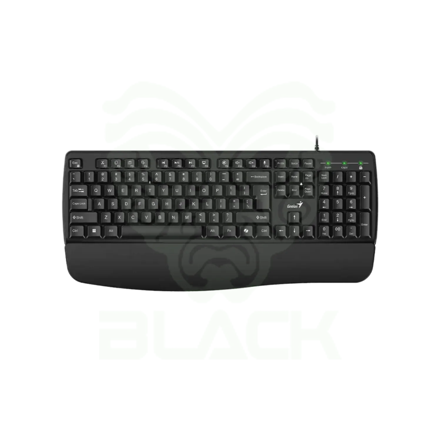 TECLADO GENIUS KB-123 BLACK