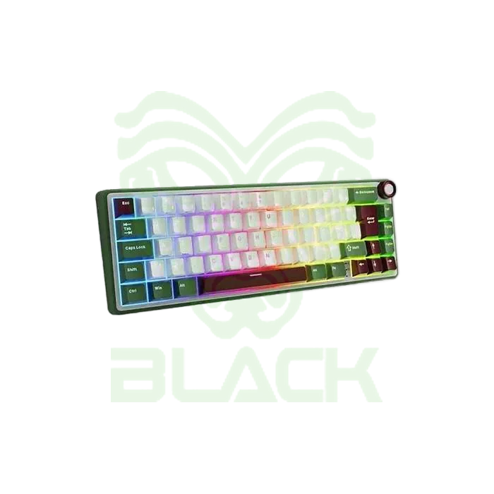 TECLADO ROYAL KLUDGE RKR65 PHANTOM SWITCH BROWN 65%