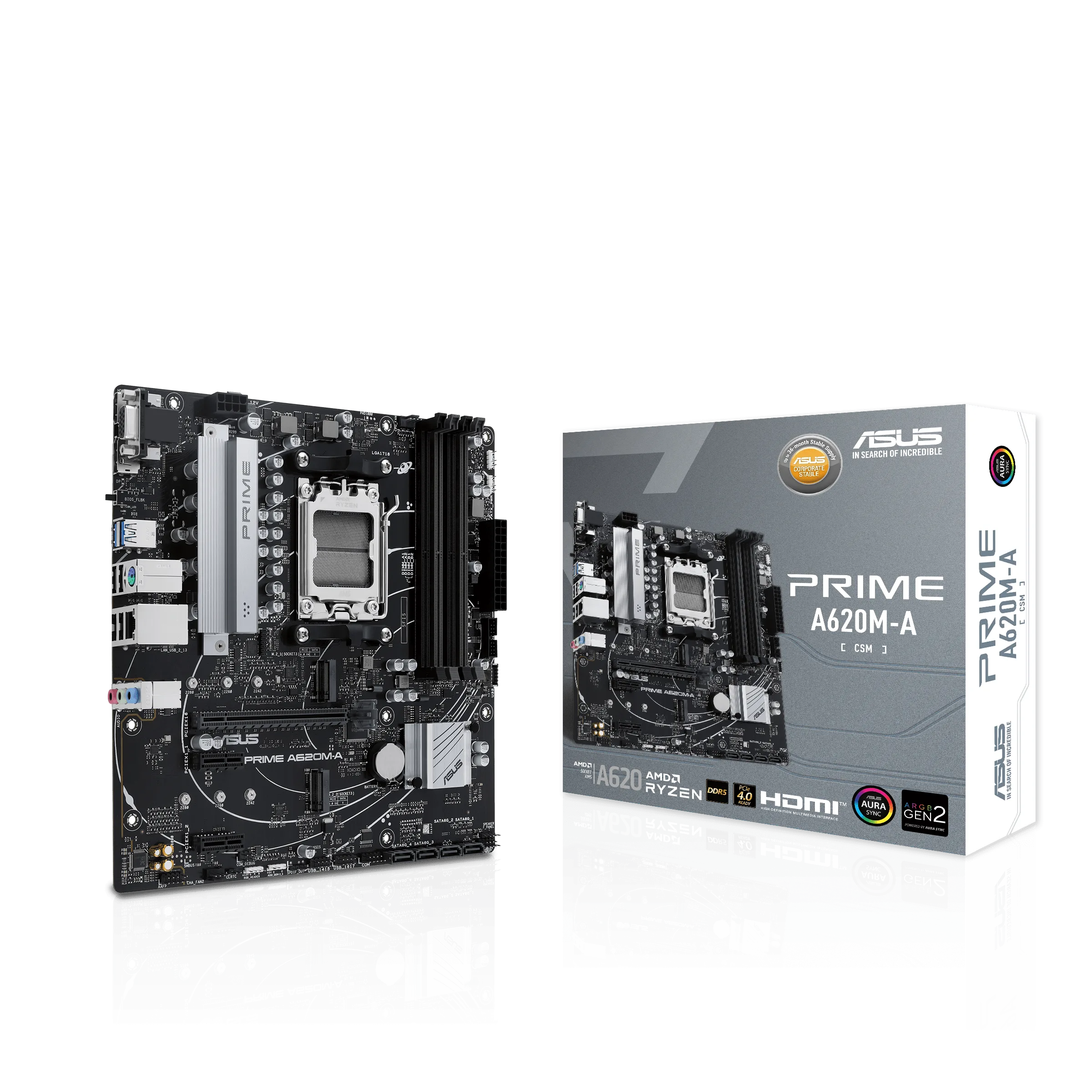 Mother Asus Prime A620M-A CSM (AM5)