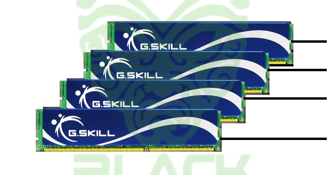 Memoria RAM DDR2 G.Skill 2 GB (1x1GB) PC2 6400 OEM