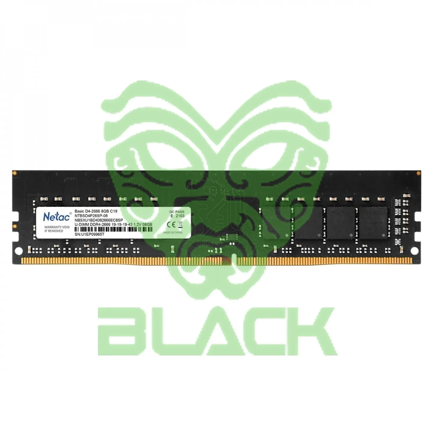 MEMORIA Netac Basic DDR4 DIMM 8GB 3200 C16