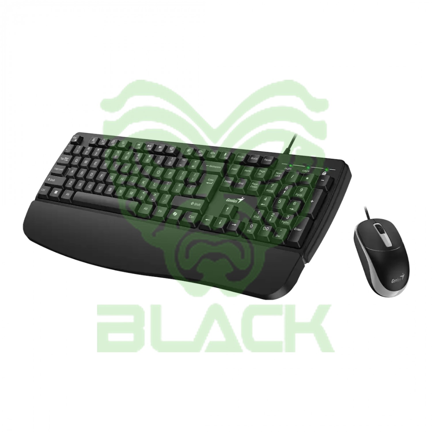 TECLADO + MOUSE COMBO USB GENIUS KM-123 BLACK