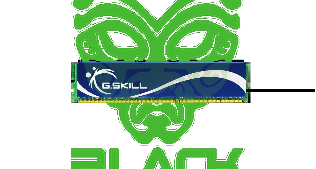 Memoria RAM DDR2 G.Skill 2 GB (1x1GB) PC2 6400 OEM