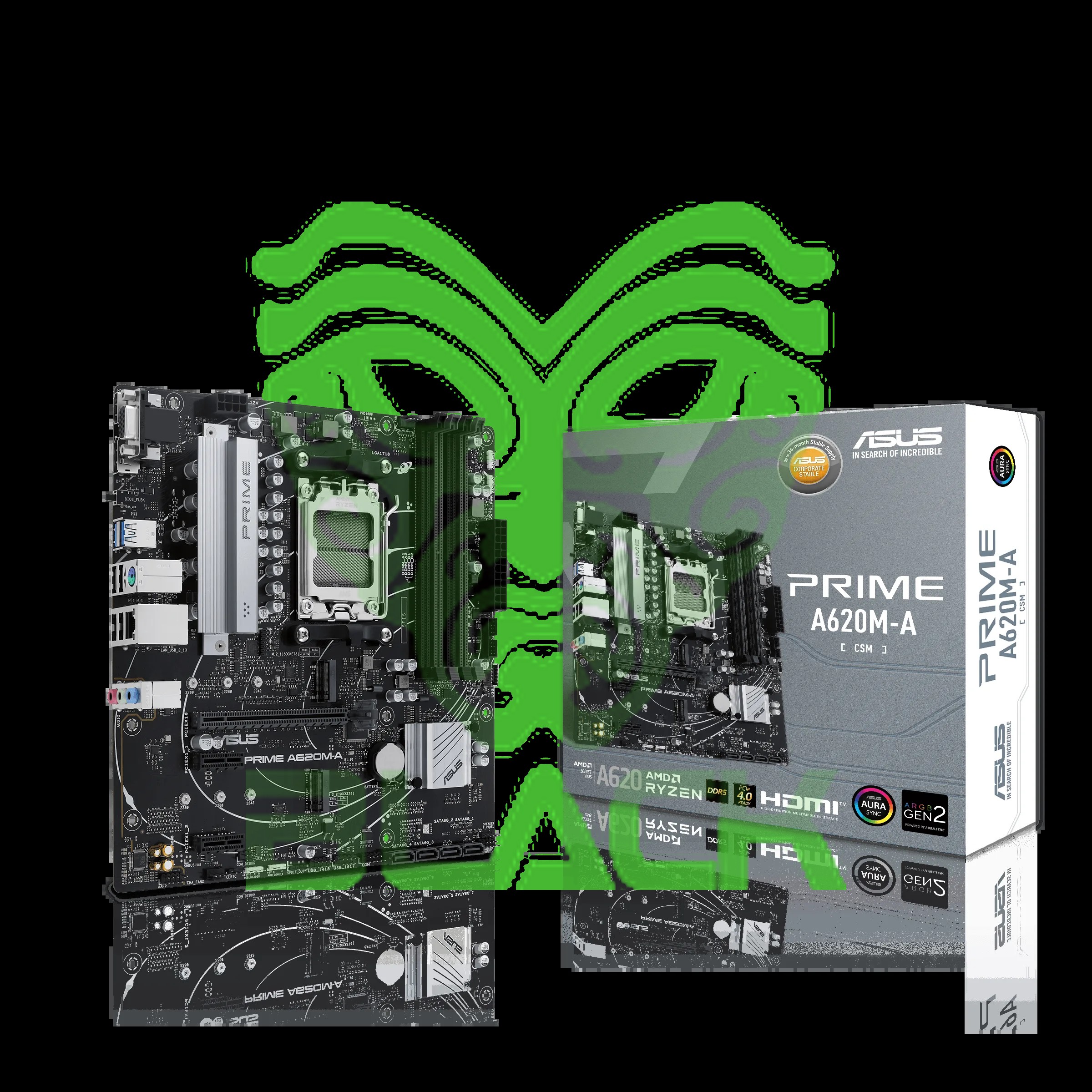 Mother Asus Prime A620M-A CSM (AM5)