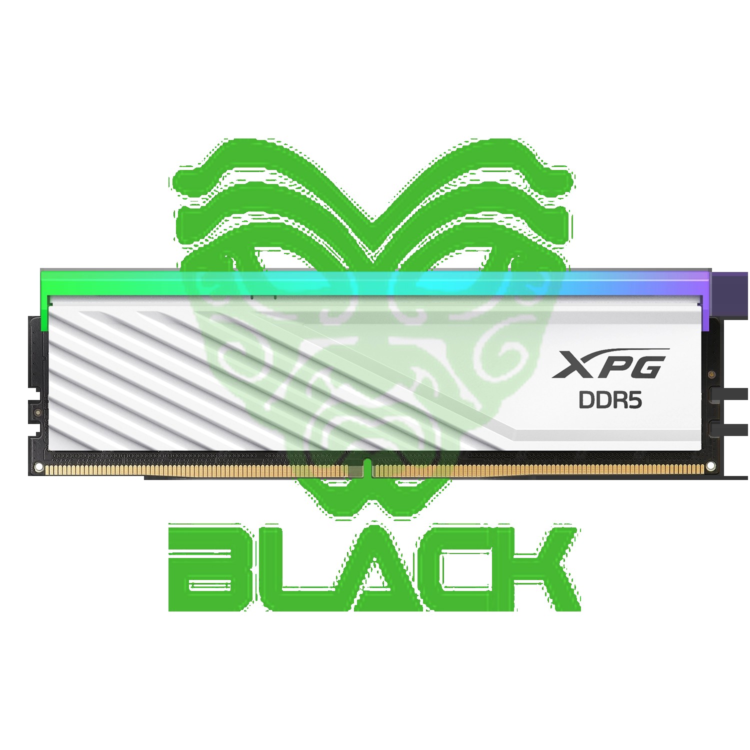 Adata Xpg UDIMM LANCER Blade RGB White 16GB DDR5 6000MHz Cl48