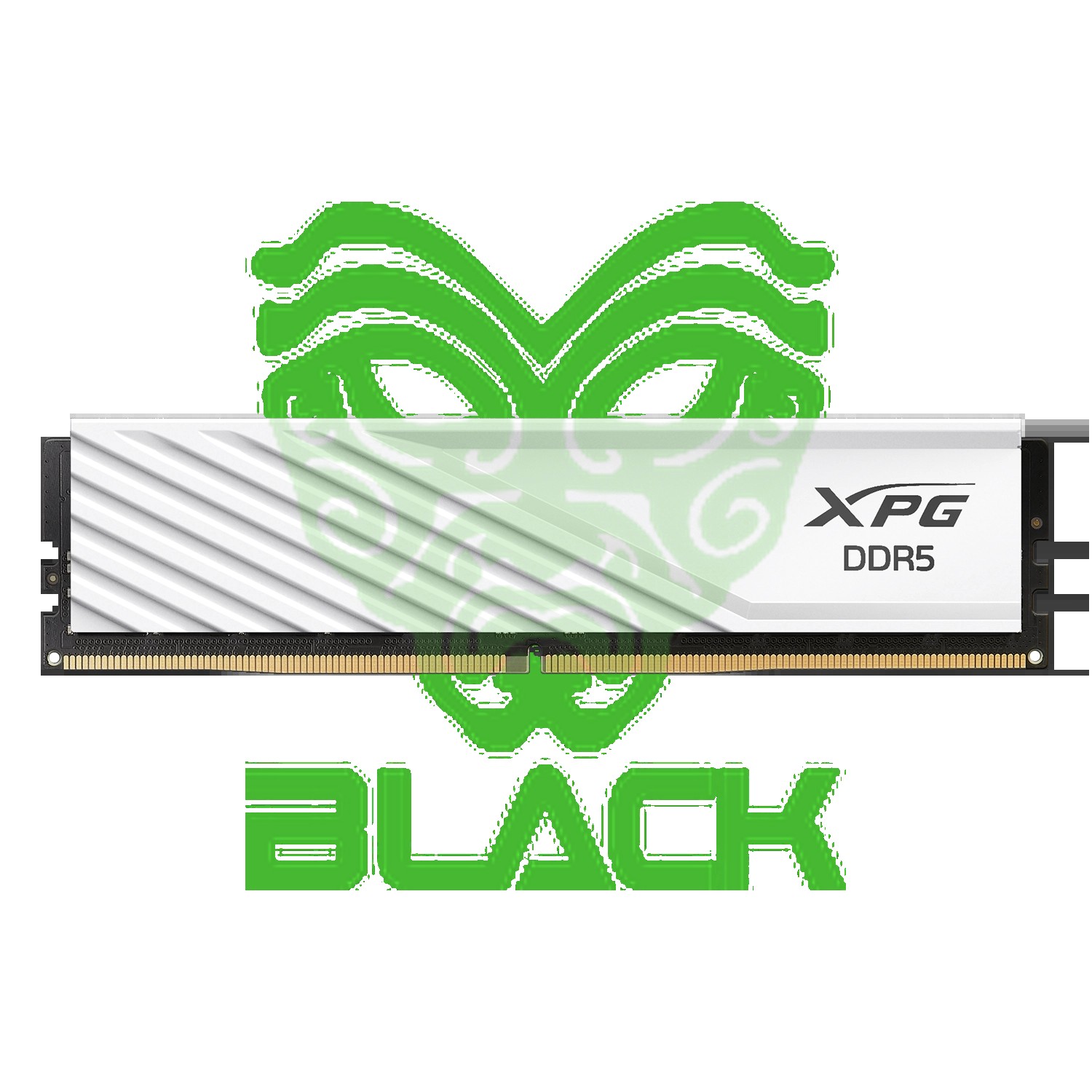 MEMORIA RAM UDIMM Adata Xpg 16GB DDR5 5600 White CL46 1.1V
