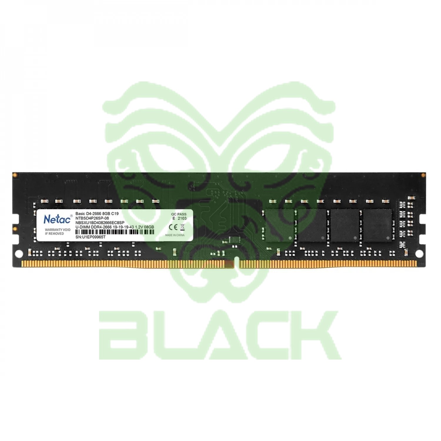 MEMORIA Netac Basic DDR4 DIMM 8GB 3200 C16