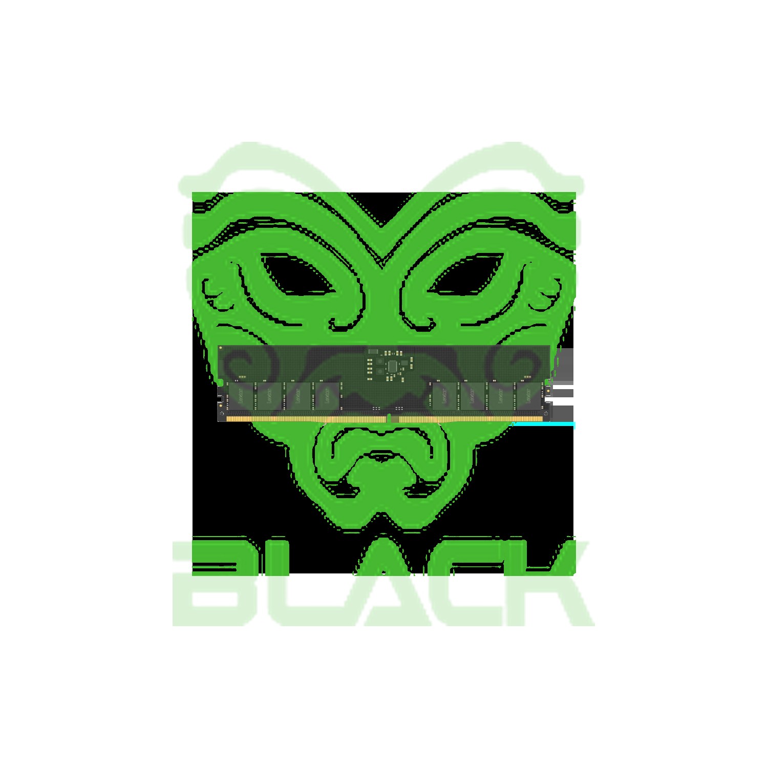 MEMORIA Lexar UDIMM DDR5 16GB 5600MHz