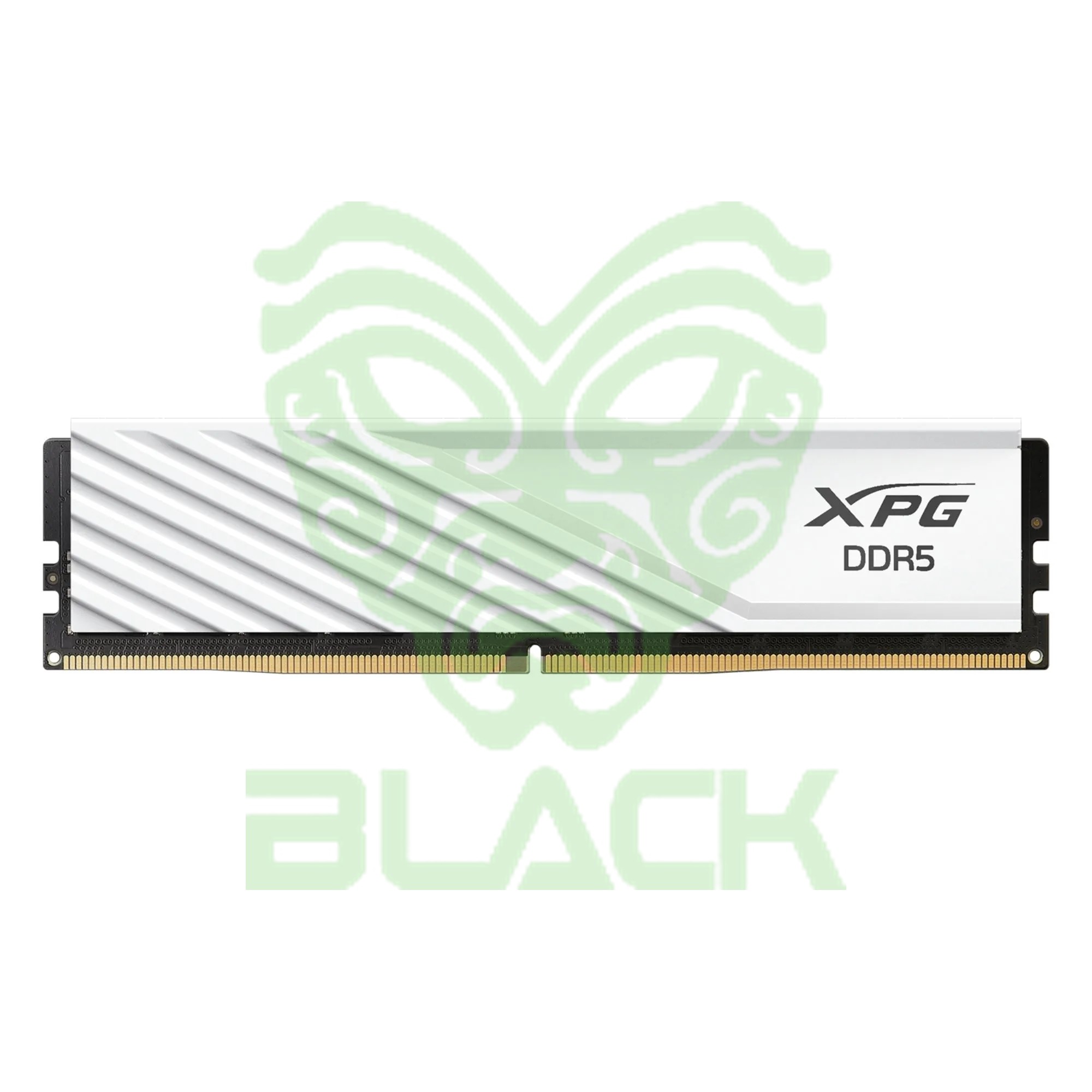 MEMORIA RAM Xpg 8GB 5600MHz DDR5 LANCER BLANCO Ax5u5600c468g-slabwh