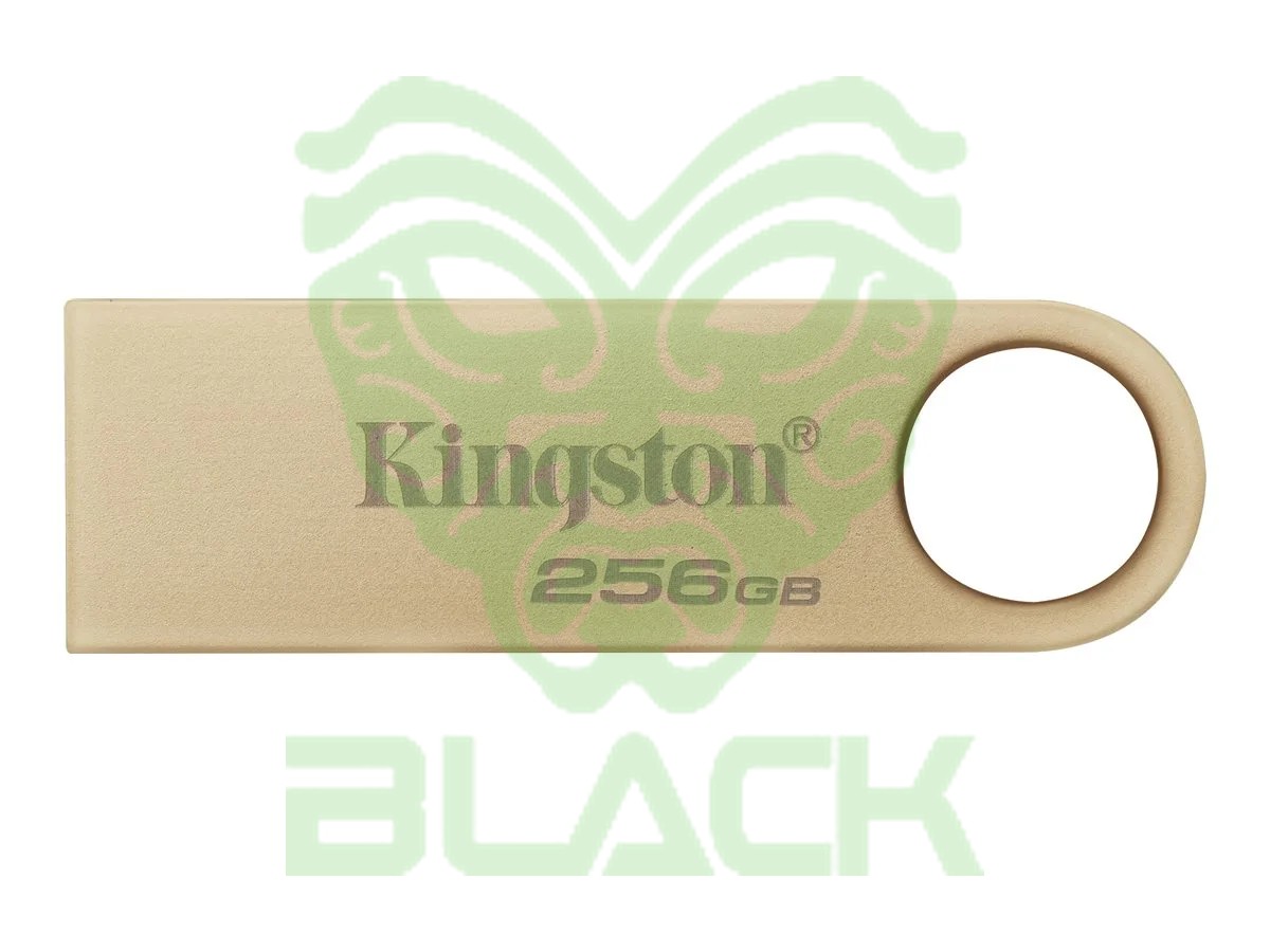 USB 256g Ki Dtse9 Metal 3.2 G3
