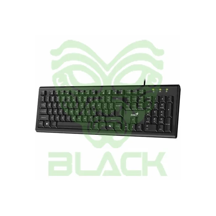TECLADO GENIUS KB-113 USB BLACK