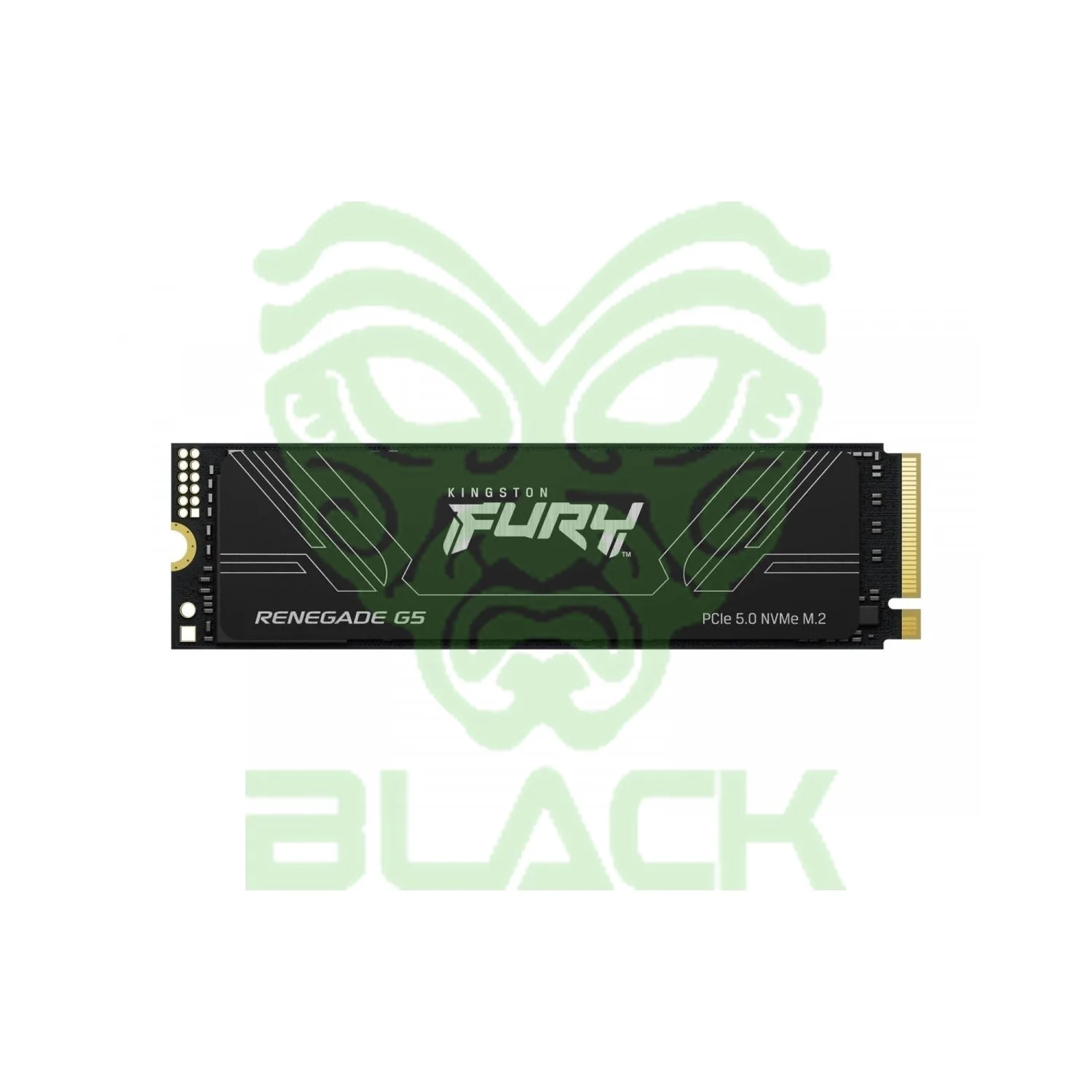 DISCO INTERNO SSD KINGSTON FURY RENEGADE 1TB M.2 G5 NVME