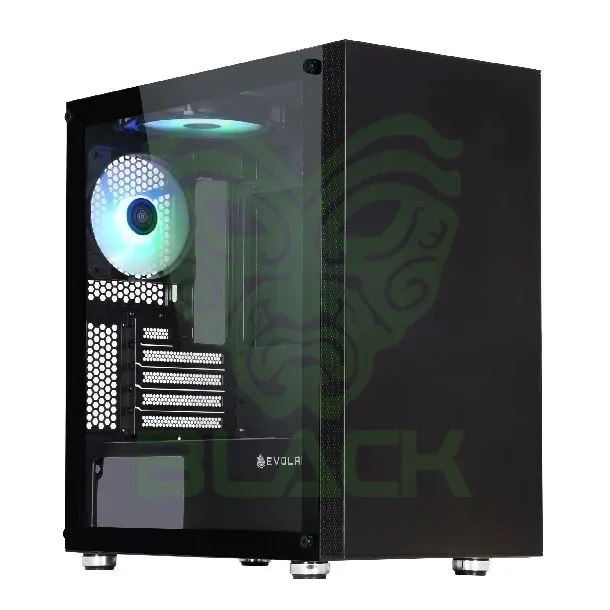 EVOLABS ARTIST