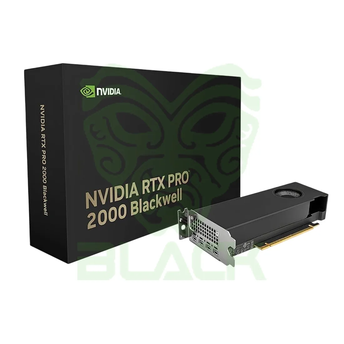 VGA PNY QUADRO RTX PRO 2000 BLACKWELL 16GB GDDR7 4X MINI DISPLAY PORT