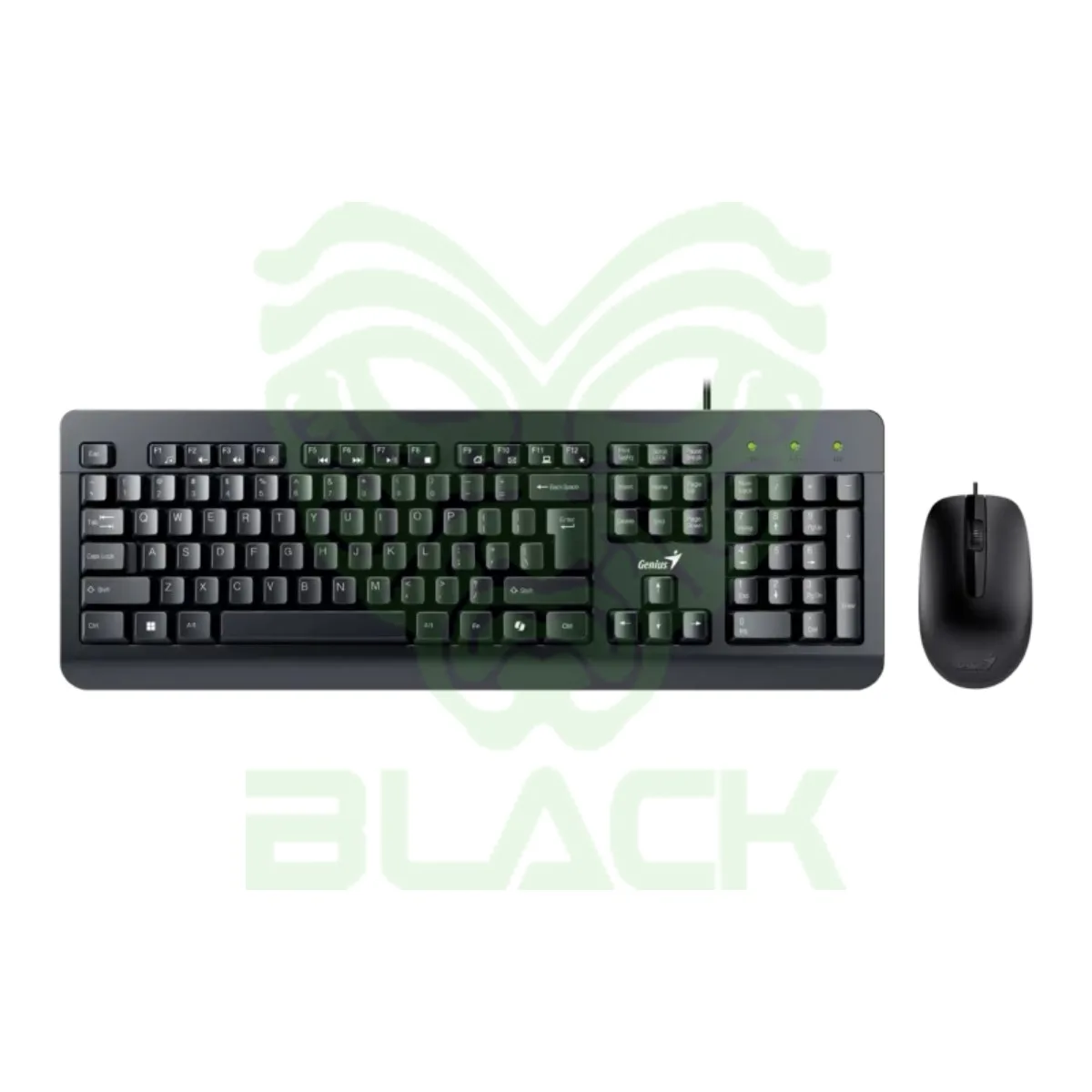 TECLADO+MOUSE GENIUS KM-160 USB
