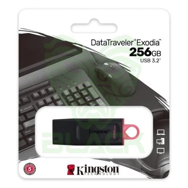 PEN DRIVE 256GB KINGSTON 3.1 DTX