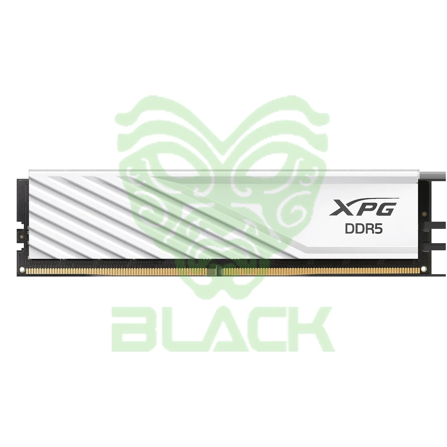 MEMORIA RAM UDIMM Adata Xpg 16GB DDR5 5600 White CL46 1.1V