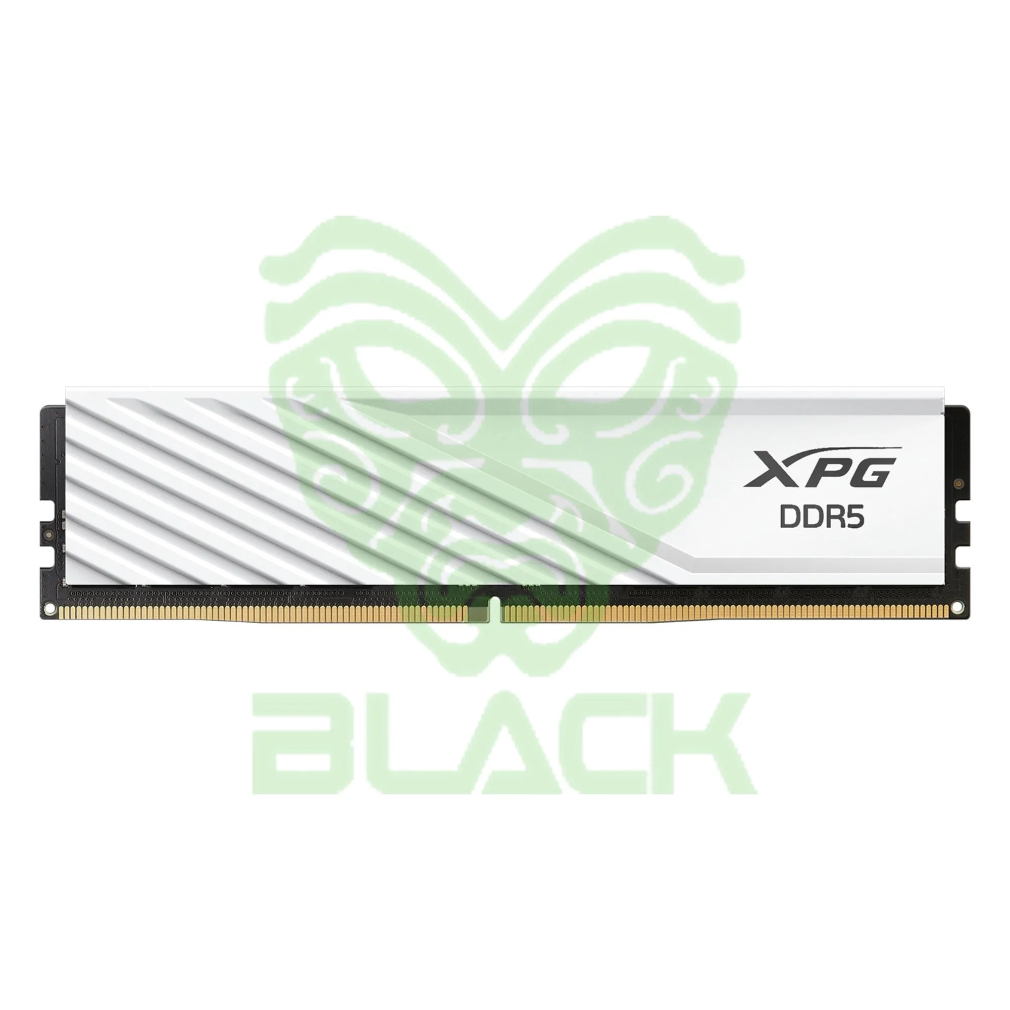 MEMORIA RAM Xpg 8GB 5600MHz DDR5 LANCER BLANCO Ax5u5600c468g-slabwh