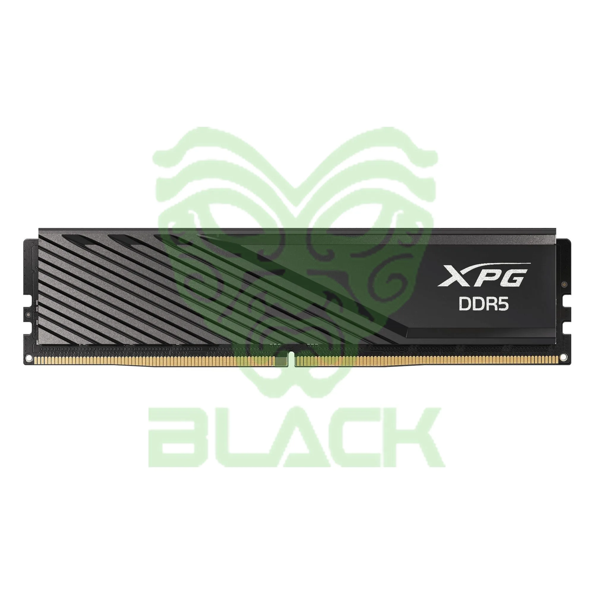 MEMORIA RAM Xpg 8GB 5600MHz DDR5 LANCER Negro Ax5u5600c468g-slabbk