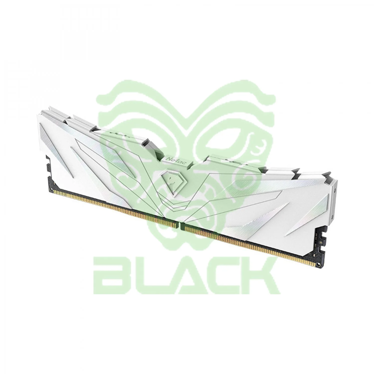 MEMORIA Netac SHADOW Ii DDR5 4800 16GB C40 White