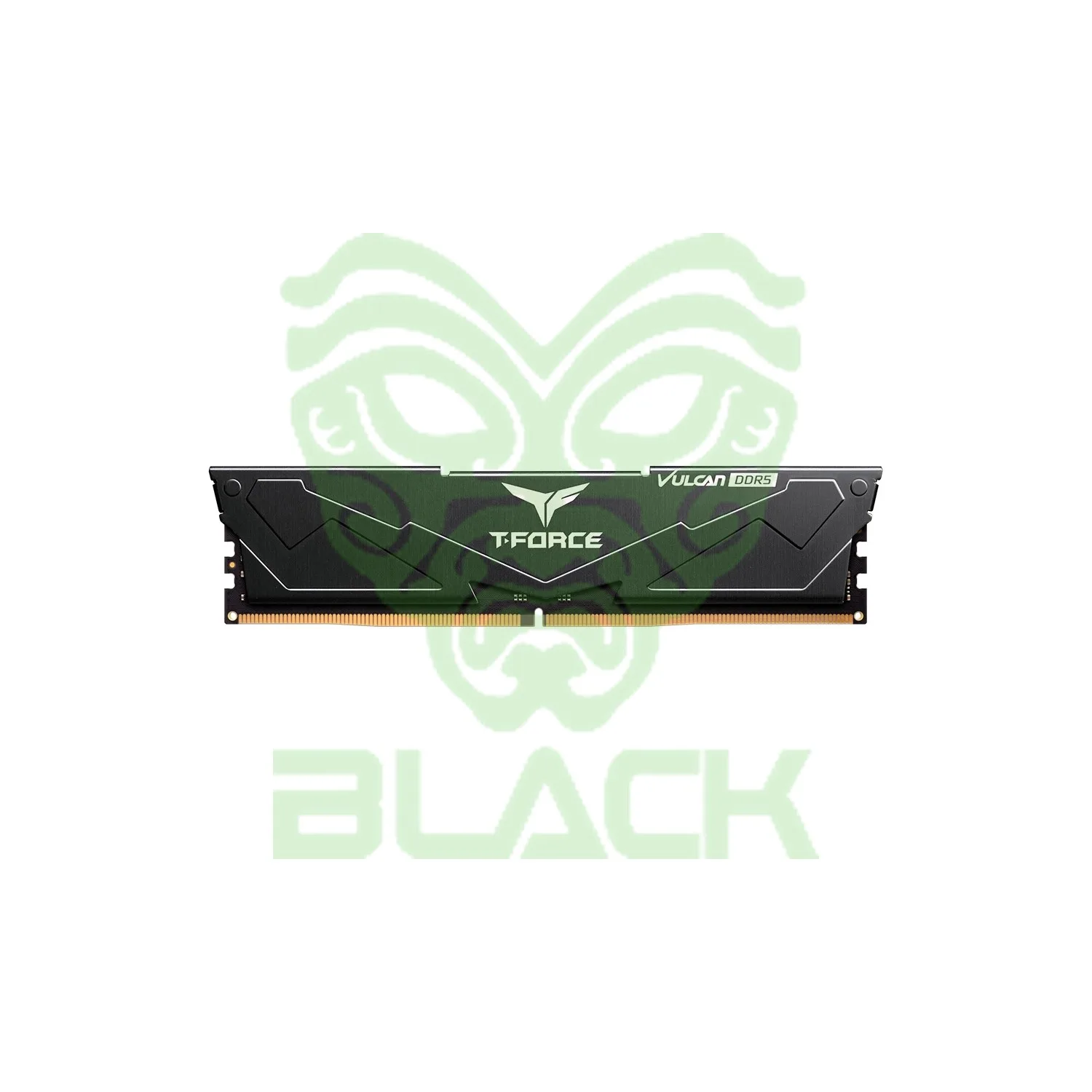 MEMORIA RAM UDIMM T-force 16GB DDR5 5200MHz CL40