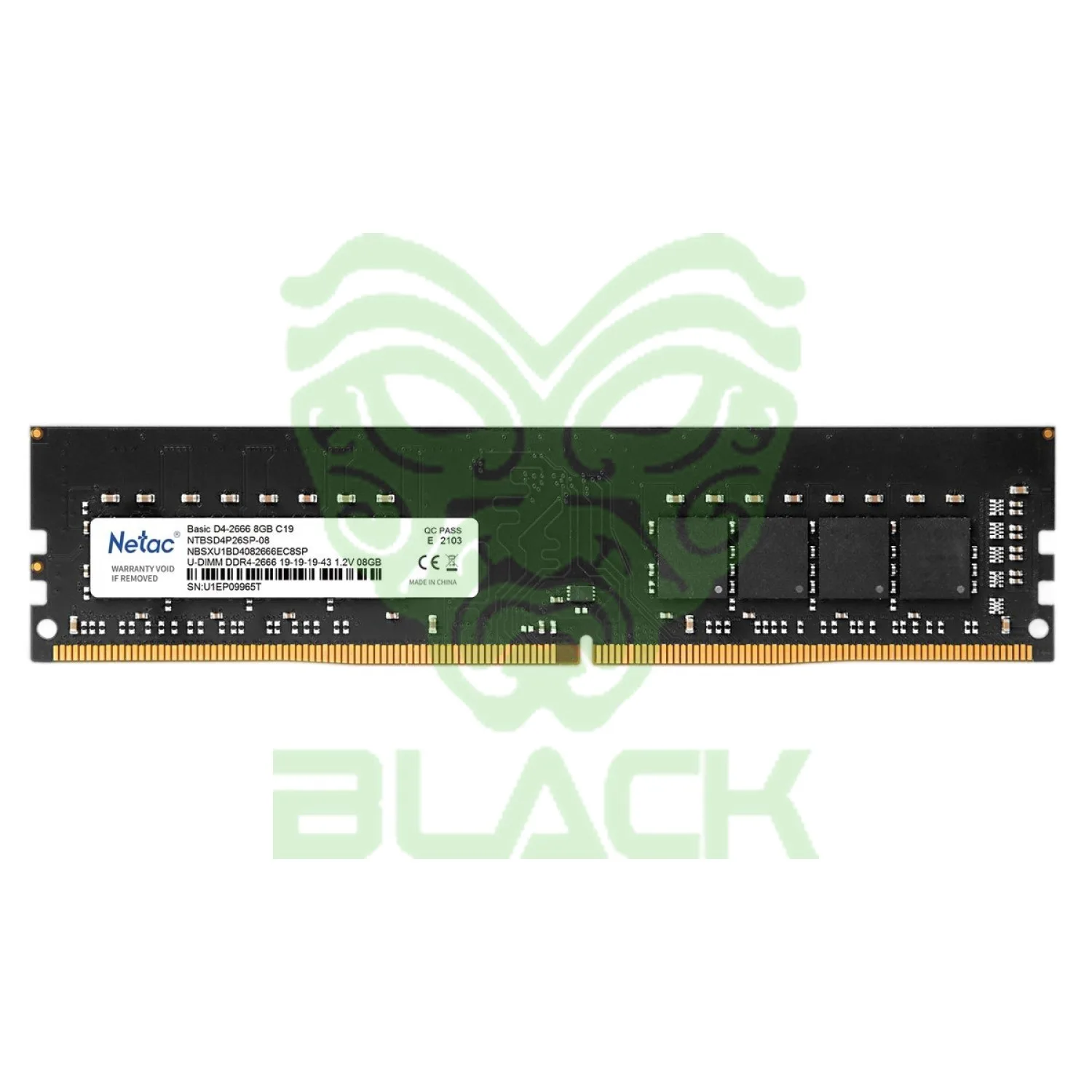 MEMORIA Netac Basic DDR4 DIMM 8GB 3200 C16