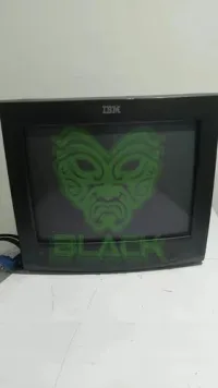IBM E50 - Monitor CRT - 15