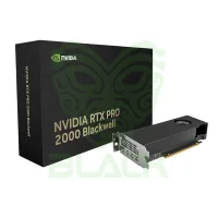 VGA Pny Quadro Rtx Pro 2000 Blackwell 16GB Gddr7 4x Mini Display Port