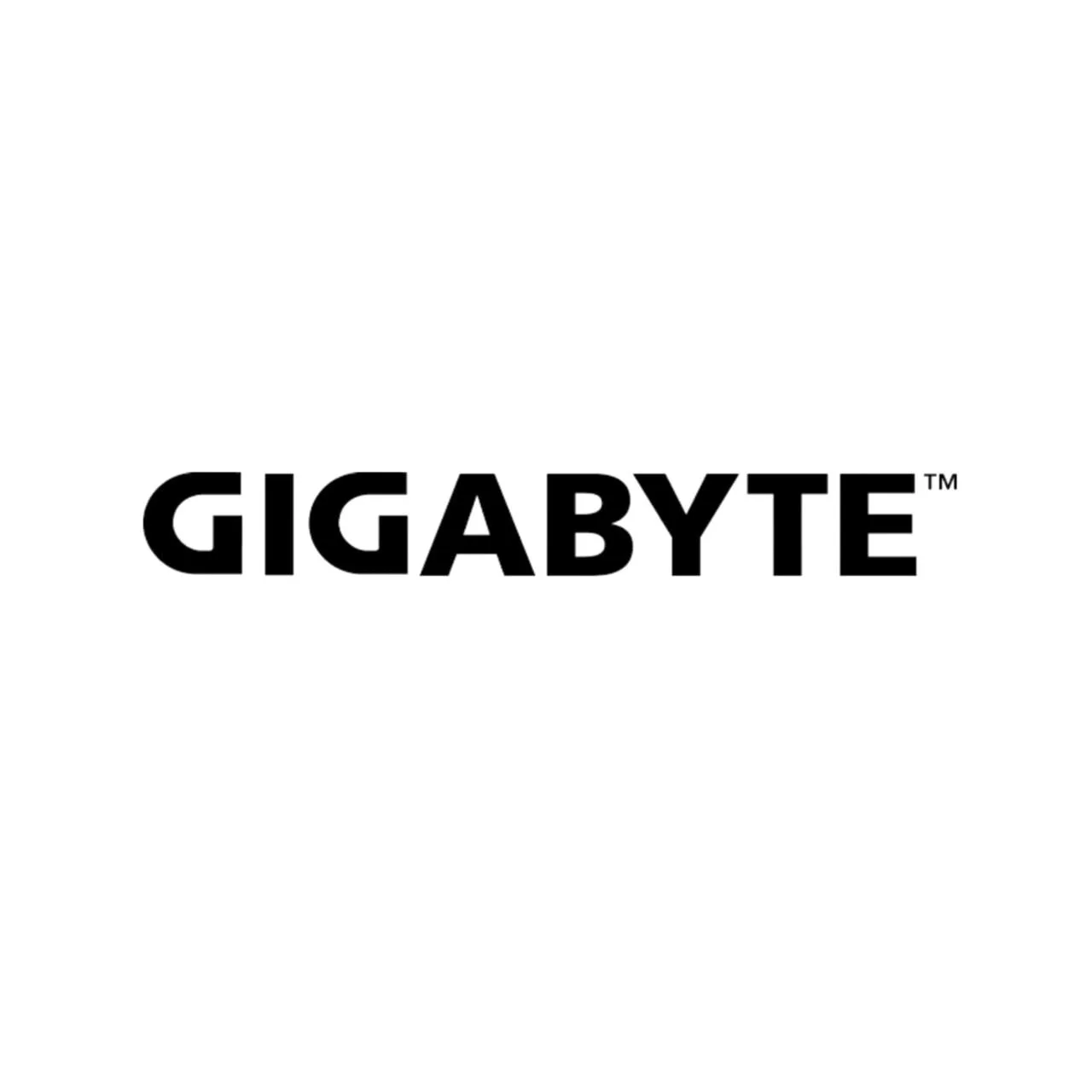 Gigabyte