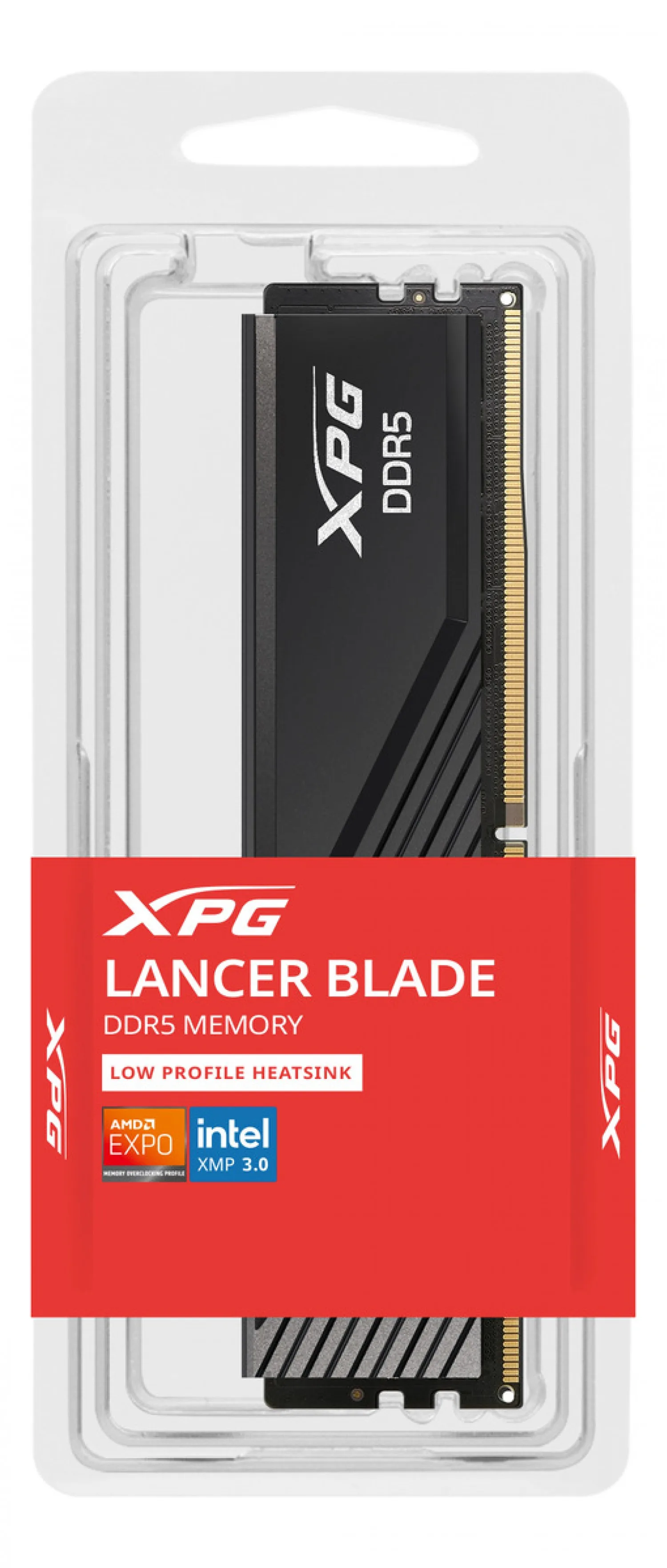 Ddr5 16gb Xpg 5600mhz Lancer Black