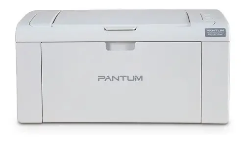 Impresora simple función monocromática Pantum Hero P2509W con wifi