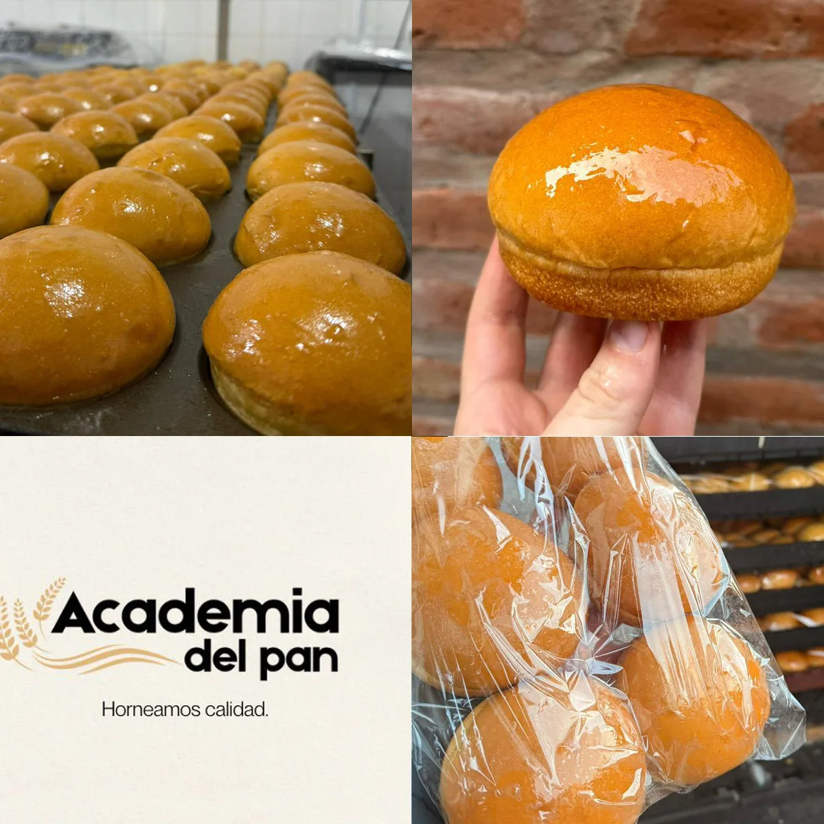 Pan Brioche Pemium Hamburguesa Clásica - Pack x4 Unidades